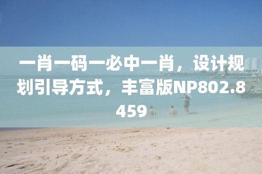 一肖一码一必中一肖，设计规划引导方式，丰富版NP802.8459