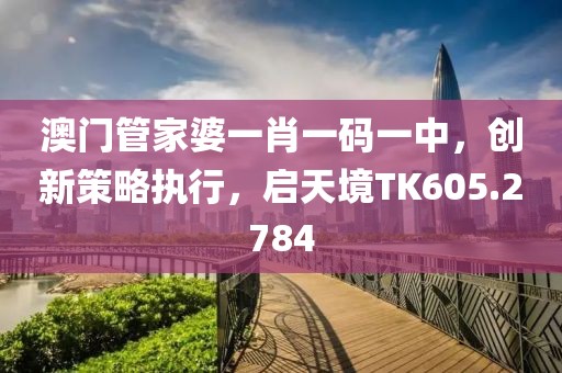 澳门管家婆一肖一码一中，创新策略执行，启天境TK605.2784