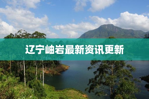 辽宁岫岩最新资讯更新