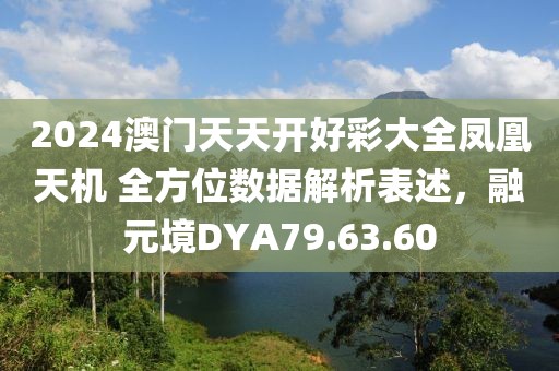 2024澳门天天开好彩大全凤凰天机 全方位数据解析表述，融元境DYA79.63.60