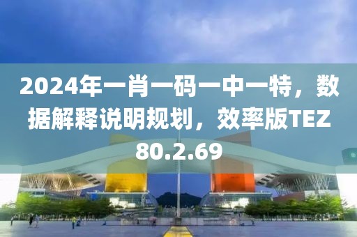 2024年一肖一码一中一特，数据解释说明规划，效率版TEZ80.2.69