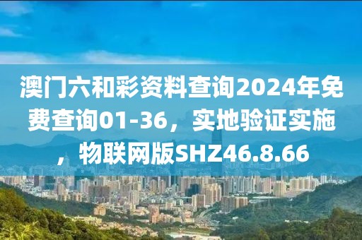 澳门六和彩资料查询2024年免费查询01-36，实地验证实施，物联网版SHZ46.8.66