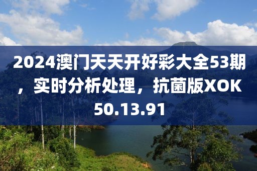 2024澳门天天开好彩大全53期，实时分析处理，抗菌版XOK50.13.91