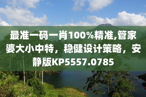 最准一码一肖100%精准,管家婆大小中特，稳健设计策略，安静版KP5557.0785