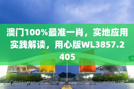 澳门100%最准一肖，实地应用实践解读，用心版WL3857.2405