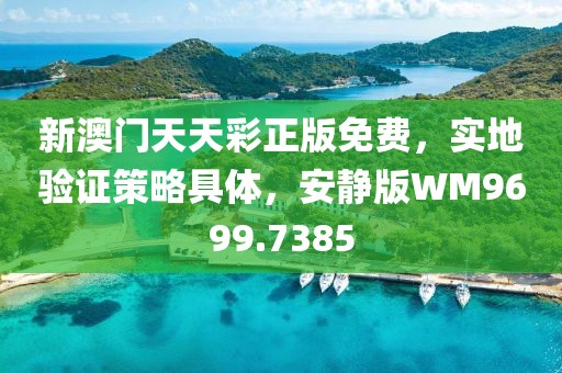 新澳门天天彩正版免费，实地验证策略具体，安静版WM9699.7385