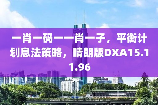 一肖一码一一肖一子，平衡计划息法策略，晴朗版DXA15.11.96