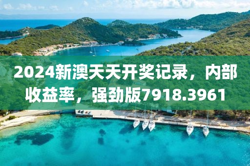 2024新澳天天开奖记录，内部收益率，强劲版7918.3961