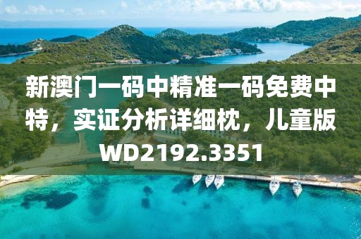 新澳门一码中精准一码免费中特，实证分析详细枕，儿童版WD2192.3351