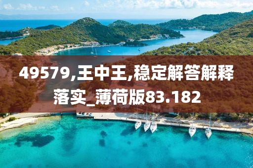 49579,王中王,稳定解答解释落实_薄荷版83.182