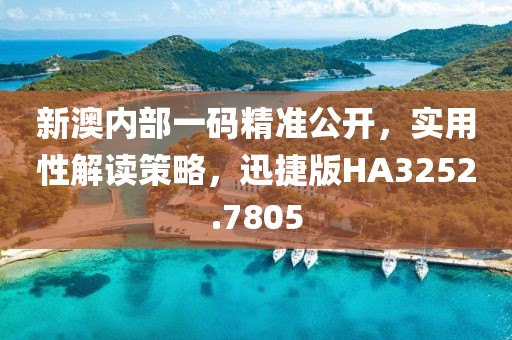 新澳内部一码精准公开，实用性解读策略，迅捷版HA3252.7805