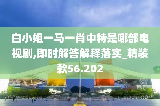 白小姐一马一肖中特是哪部电视剧,即时解答解释落实_精装款56.202