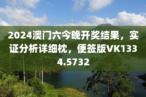 2024澳门六今晚开奖结果，实证分析详细枕，便签版VK1334.5732