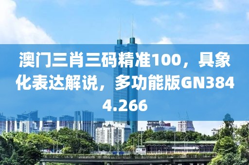 澳门三肖三码精准100，具象化表达解说，多功能版GN3844.266
