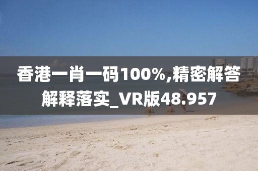 香港一肖一码100%,精密解答解释落实_VR版48.957