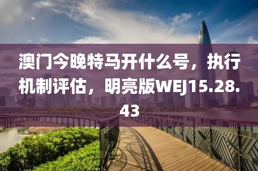 澳门今晚特马开什么号，执行机制评估，明亮版WEJ15.28.43
