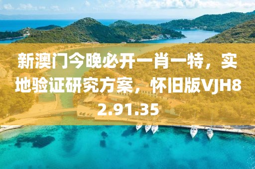 新澳门今晚必开一肖一特，实地验证研究方案，怀旧版VJH82.91.35