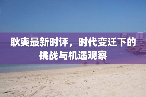 耿爽最新时评，时代变迁下的挑战与机遇观察