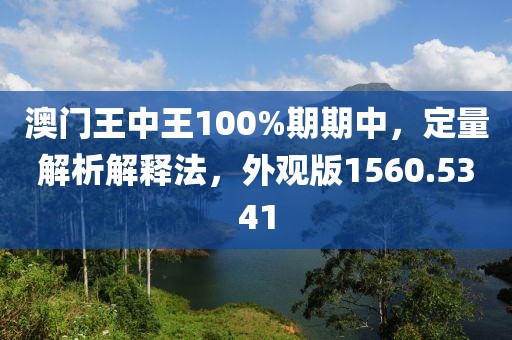 澳门王中王100%期期中，定量解析解释法，外观版1560.5341