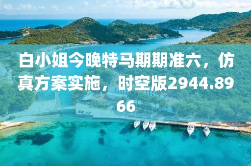 白小姐今晚特马期期准六，仿真方案实施，时空版2944.8966