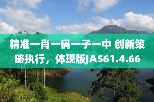精准一肖一码一子一中 创新策略执行，体现版JAS61.4.66