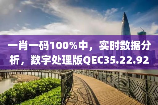 一肖一码100%中，实时数据分析，数字处理版QEC35.22.92