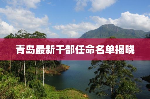 青岛最新干部任命名单揭晓