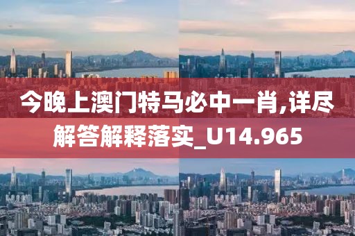 今晚上澳门特马必中一肖,详尽解答解释落实_U14.965