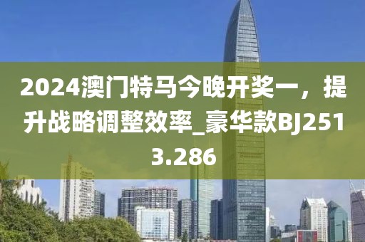2024澳门特马今晚开奖一，提升战略调整效率_豪华款BJ2513.286