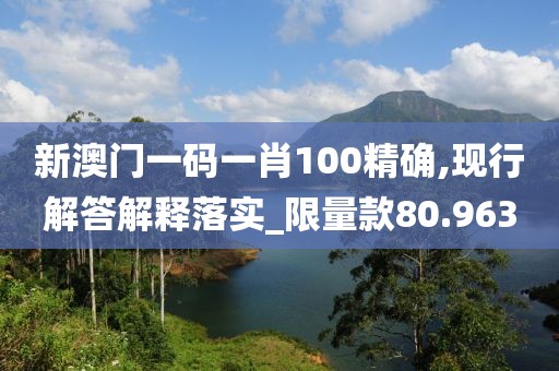 新澳门一码一肖100精确,现行解答解释落实_限量款80.963