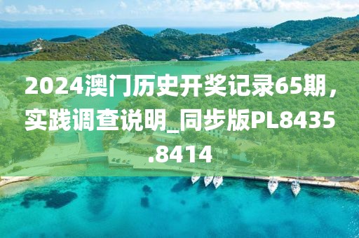 2024澳门历史开奖记录65期，实践调查说明_同步版PL8435.8414