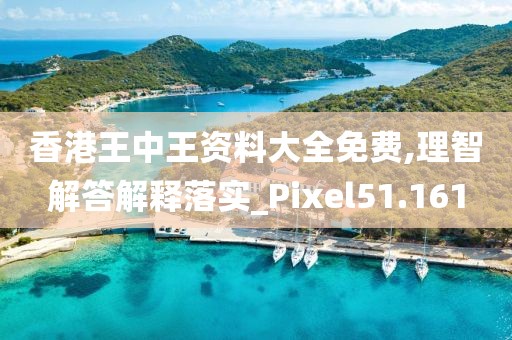 香港王中王资料大全免费,理智解答解释落实_Pixel51.161