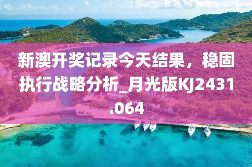 新澳开奖记录今天结果，稳固执行战略分析_月光版KJ2431.064