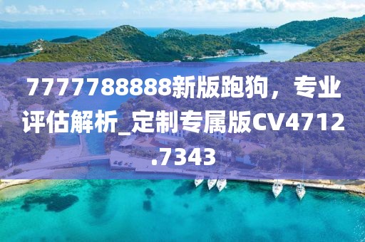 7777788888新版跑狗，专业评估解析_定制专属版CV4712.7343