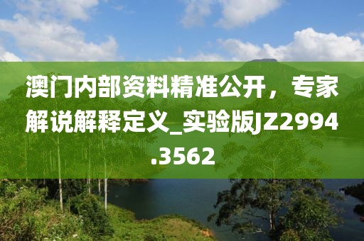 澳门内部资料精准公开，专家解说解释定义_实验版JZ2994.3562