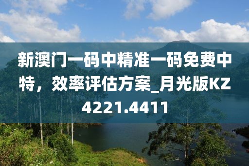 新澳门一码中精准一码免费中特，效率评估方案_月光版KZ4221.4411