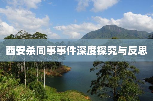 西安杀同事事件深度探究与反思