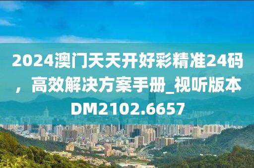 2024澳门天天开好彩精准24码，高效解决方案手册_视听版本DM2102.6657