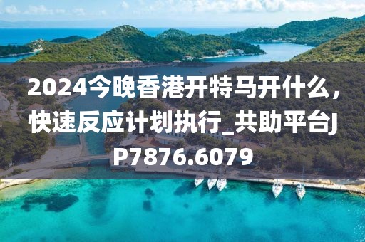 2024今晚香港开特马开什么，快速反应计划执行_共助平台JP7876.6079