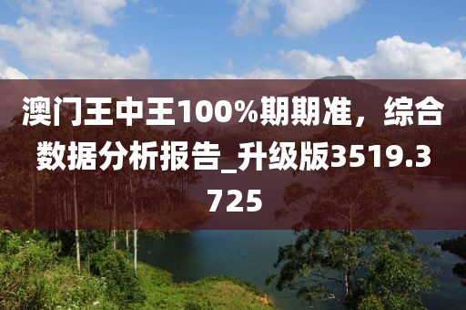 澳门王中王100%期期准，综合数据分析报告_升级版3519.3725