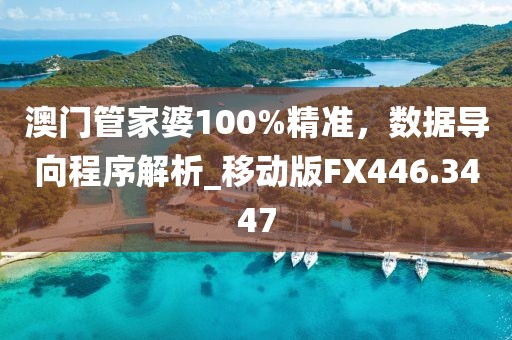 澳门管家婆100%精准，数据导向程序解析_移动版FX446.3447