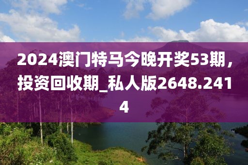 2024澳门特马今晚开奖53期，投资回收期_私人版2648.2414