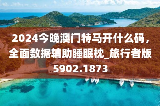 2024今晚澳门特马开什么码，全面数据辅助睡眠枕_旅行者版5902.1873