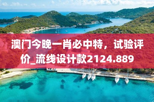 澳门今晚一肖必中特，试验评价_流线设计款2124.889
