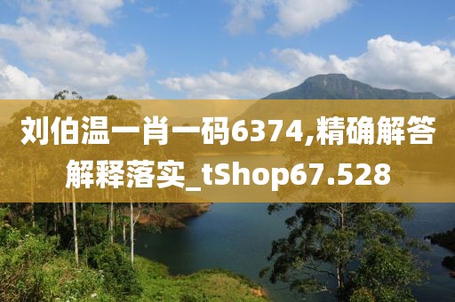 刘伯温一肖一码6374,精确解答解释落实_tShop67.528