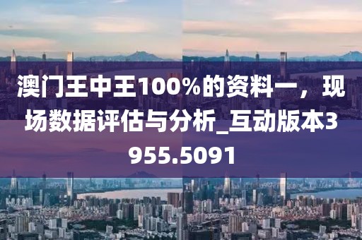 澳门王中王100%的资料一，现场数据评估与分析_互动版本3955.5091