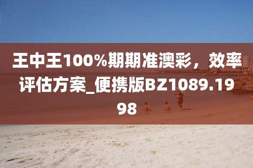 王中王100%期期准澳彩，效率评估方案_便携版BZ1089.1998