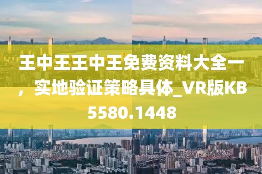 王中王王中王免费资料大全一，实地验证策略具体_VR版KB5580.1448