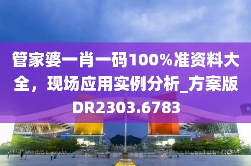 管家婆一肖一码100%准资料大全，现场应用实例分析_方案版DR2303.6783
