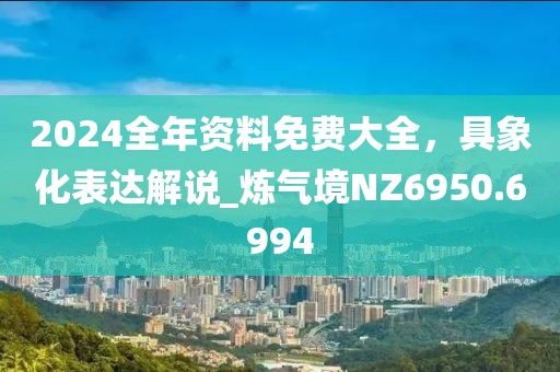 2024全年资料免费大全，具象化表达解说_炼气境NZ6950.6994